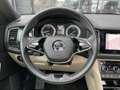 Skoda Kodiaq 2,0TSi Style 4x4 Pano Leder AHK Bleu - thumbnail 13