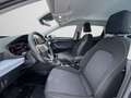 SEAT Ibiza 1.0 TSI Style Full Link, Winter-Paket, Com Grau - thumbnail 12