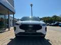 Ford Kuga Titanium Weiß - thumbnail 3