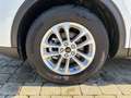 Ford Kuga Titanium Weiß - thumbnail 6