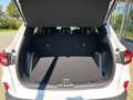 Ford Kuga Titanium Weiß - thumbnail 10