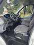 Ford Transit Cassone mt 4,3 - thumbnail 7