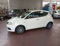 Lancia Ypsilon 1.3 MJT 16V 95 CV 5 porte NEOPATENTATI OK Bianco - thumbnail 2