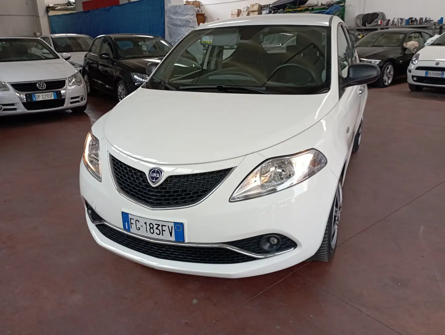 Lancia Ypsilon 1.3 MJT 16V 95 CV 5 porte NEOPATENTATI OK Bianco - 1