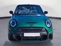 MINI Cooper S Cabrio JCW Trim Aut. Navi RFK HiFi Lede Grün - thumbnail 5