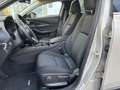Mazda CX-30 Homura CX-30 MY2024 5DR WGN 2.0L e-Skyactiv G 1... - thumbnail 4