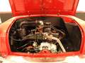 Autobianchi Sonstige BIANCHINA CABRIOLET - ISCRITTA ASI CON C.R.S. – RARA – SUPERPREZZO (1963) Rot - thumbnail 10