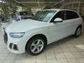 Audi Q5 35 TDI S line/Navi/Matrix/ACC/VirtualCockpit Wit - thumbnail 1