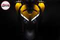 Ducati Streetfighter V2 S Galben - thumbnail 11