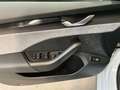 Skoda Octavia Selection-LODGE+DSG+AHK Blanc - thumbnail 14