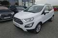 Ford EcoSport 1.0 Aut.KAM APP LED AHK Zahnr+Insp Neu Weiß - thumbnail 2