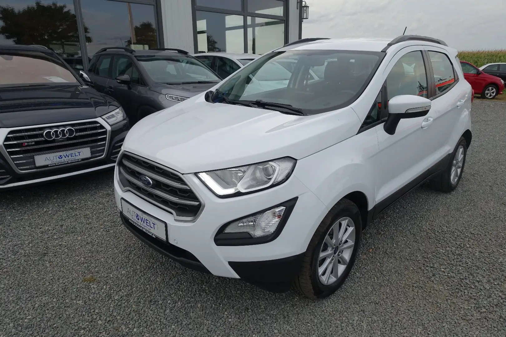 Ford EcoSport 1.0 Aut.KAM APP LED AHK Zahnr+Insp Neu Weiß - 2