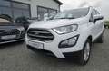 Ford EcoSport 1.0 Aut.KAM APP LED AHK Zahnr+Insp Neu Weiß - thumbnail 18