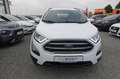 Ford EcoSport 1.0 Aut.KAM APP LED AHK Zahnr+Insp Neu Weiß - thumbnail 3