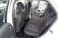 Ford EcoSport 1.0 Aut.KAM APP LED AHK Zahnr+Insp Neu Weiß - thumbnail 11
