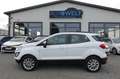 Ford EcoSport 1.0 Aut.KAM APP LED AHK Zahnr+Insp Neu Weiß - thumbnail 1