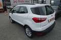 Ford EcoSport 1.0 Aut.KAM APP LED AHK Zahnr+Insp Neu Weiß - thumbnail 7