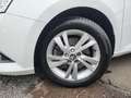 Skoda Fabia Style 1.0 TSI DSG Kamera PDC Klimaautomatik Bianco - thumbnail 16