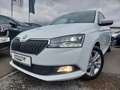Skoda Fabia Style 1.0 TSI DSG Kamera PDC Klimaautomatik Bianco - thumbnail 17