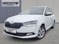 Skoda Fabia Style 1.0 TSI DSG Kamera PDC Klimaautomatik Blanc - thumbnail 1