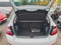 Skoda Fabia Style 1.0 TSI DSG Kamera PDC Klimaautomatik Bianco - thumbnail 14