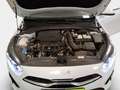Kia Ceed / cee'd 1.5T-GDI Spirit+LED+NAVI+TEMPO+PDC+KAMERA Blanc - thumbnail 31