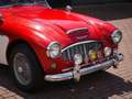 Austin-Healey 3000 BT7 1959 with hardtop COMING SOON! Roşu - thumbnail 7