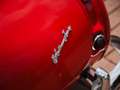 Austin-Healey 3000 BT7 1959 with hardtop COMING SOON! Rojo - thumbnail 48