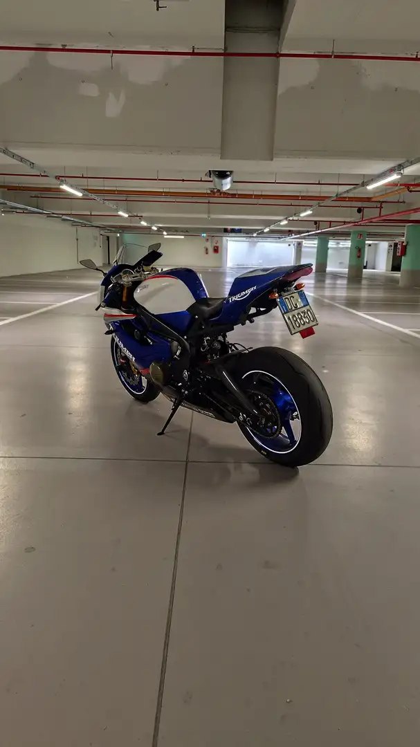 Triumph Daytona 675 SE Blanco - 2