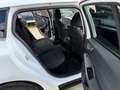 Ford Focus Turnier Cool&Connect Kamera LED AHK Weiß - thumbnail 13