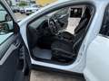 Ford Focus Turnier Cool&Connect Kamera LED AHK Weiß - thumbnail 8