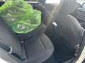 Ford Focus 1.0 EcoBoost Mild-Hybrid Titanium S/S (EURO Weiß - thumbnail 8