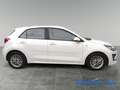 Kia Rio Rio 1.2 DPi 84 CV Style  SOLO 27.000 KM BELLISSIM Blanc - thumbnail 5