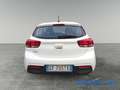 Kia Rio Rio 1.2 DPi 84 CV Style  SOLO 27.000 KM BELLISSIM Blanc - thumbnail 6