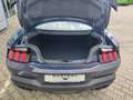 Ford Mustang 5.0 Ti-VCT V8 334 Dark Horse Fastback Blue - thumbnail 13