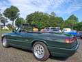 Alfa Romeo Spider Alfa Romeo 115 Spider Cabrio Vert - thumbnail 14