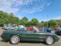 Alfa Romeo Spider Alfa Romeo 115 Spider Cabrio Vert - thumbnail 8