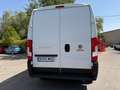 Fiat Ducato 35 L3H2 BlueHDi (103 kW) Blanco - thumbnail 27