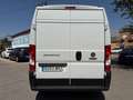 Fiat Ducato 35 L3H2 BlueHDi (103 kW) Blanco - thumbnail 3