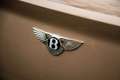 Bentley Continental GT SPEED / 6.0 BITURBO W12 / CAMEL / 1 OWNER Goud - thumbnail 21