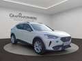 CUPRA Formentor eHybrid DSG Rückfahrkamera Navi+ Weiß - thumbnail 8