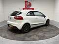 Kia Rio 1.2 CVVT Comfort Pack, Keurige auto, Volledig onde Blanco - thumbnail 4