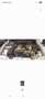 Mercedes-Benz CE 200 cabriolet 16v Grau - thumbnail 12