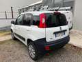 Fiat Panda 1.3 MJT 4x4 Autocarro VAN Targata ET415XS Blanc - thumbnail 4