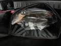 Mercedes-Benz GLA 250 e Style Park-Paket+LED High+Spiegel. Alb - thumbnail 21