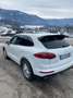 Porsche Cayenne Cayenne DIESEL Weiß - thumbnail 4