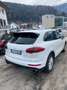Porsche Cayenne Cayenne DIESEL Weiß - thumbnail 2