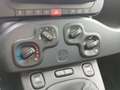 Fiat Panda PANDA 1,0 Hybrid I KLIMA I Schwarz - thumbnail 14