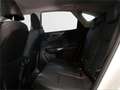 Lexus NX 450h+ Premium+ 4WD - thumbnail 11