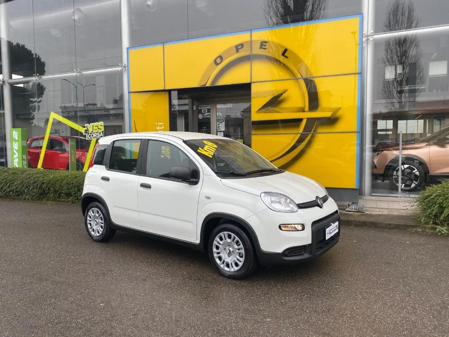Fiat Panda 1.0 FireFly S&S Hybrid Pandina Bianco - 2
